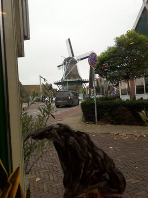 at Het Zaanse Bakkertje / Dutch Vegan Bakery in Zaandijk