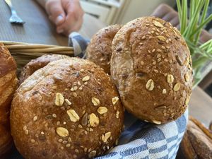 😋 at Het Zaanse Bakkertje / Dutch Vegan Bakery in Zaandijk