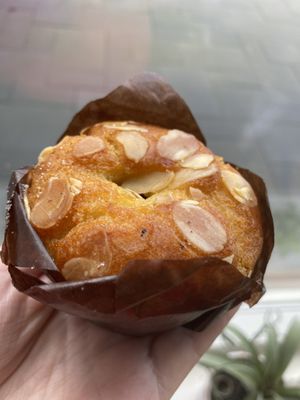 🧁 at Het Zaanse Bakkertje / Dutch Vegan Bakery in Zaandijk