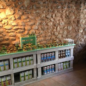 plant based milk at Veganana in Manacor