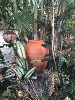 Part of garden at Pink House Garden in Chiang Mai