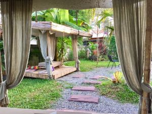 View of the garden at Pink House Garden in Chiang Mai