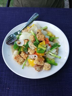 Garlic + Pepper Tempeh Stir fry 95thb at Pink House Garden in Chiang Mai