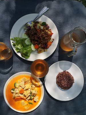 115B Khao Soi - 75B rice and veggies. at Pink House Garden in Chiang Mai