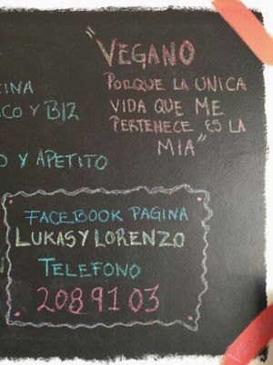 contact at Lukas and Lorenzo Rincon Vegano in Puerto Morelos