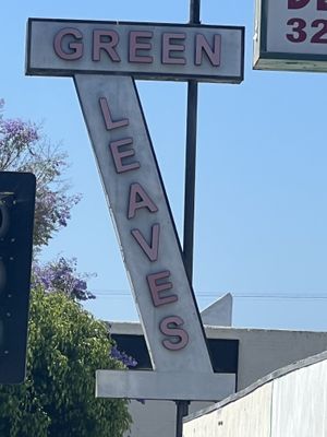   at Green Leaves in Los Angeles
