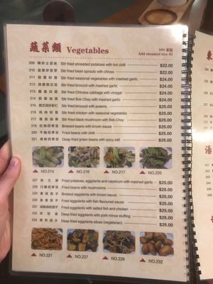 Some of the vege options  at New Flavour in Auckland