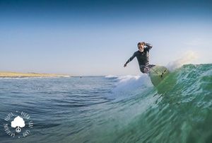 Surf at Vegan Surf Camp in Moliets