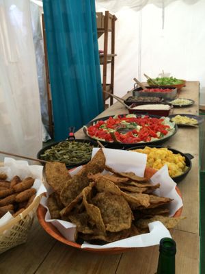 Vegan dinner at Vegan Surf Camp in Moliets