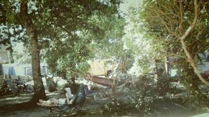 Chill nature at Vegan Surf Camp in Moliets