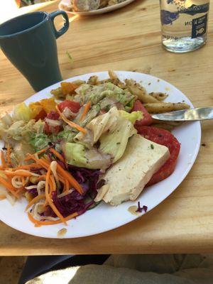   at Vegan Surf Camp in Moliets