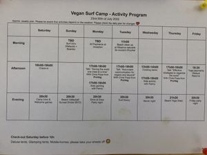 That’s how the Activity program can look like  at Vegan Surf Camp in Moliets