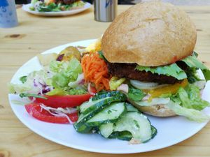  at Vegan Surf Camp in Moliets