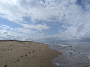 Beach at Vegan Surf Camp in Moliets
