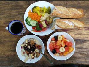  at Vegan Surf Camp in Moliets