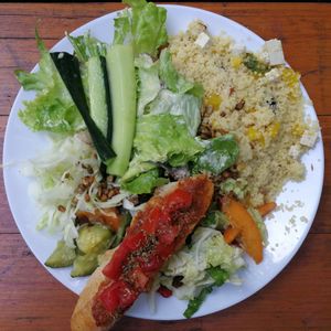  at Vegan Surf Camp in Moliets