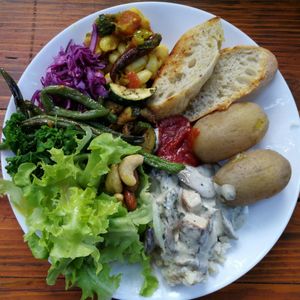  at Vegan Surf Camp in Moliets