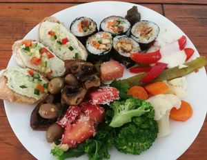  at Vegan Surf Camp in Moliets