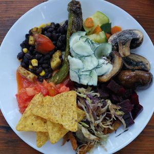  at Vegan Surf Camp in Moliets