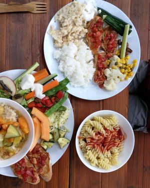  at Vegan Surf Camp in Moliets