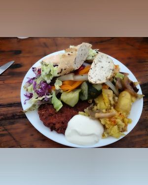 best food from the vegan surf camp at Vegan Surf Camp in Moliets