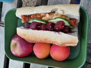  at Vegan Surf Camp in Moliets