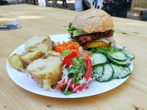  at Vegan Surf Camp in Moliets