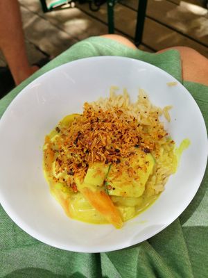  at Vegan Surf Camp in Moliets