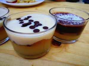  at Vegan Surf Camp in Moliets