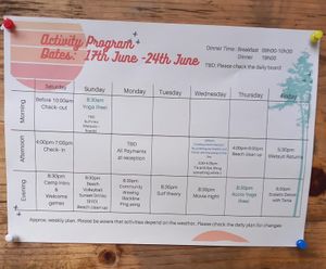  at Vegan Surf Camp in Moliets