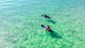 Surf Moliets at Vegan Surf Camp in Moliets