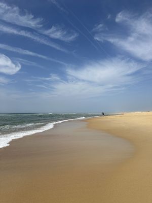   at Vegan Surf Camp in Moliets