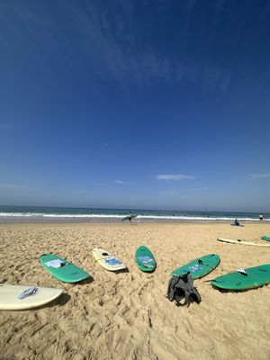   at Vegan Surf Camp in Moliets