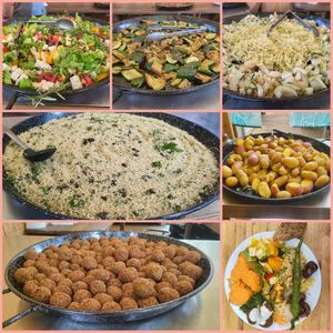  at Vegan Surf Camp in Moliets