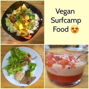  at Vegan Surf Camp in Moliets