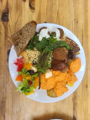  at Vegan Surf Camp in Moliets