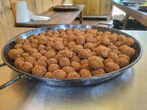  at Vegan Surf Camp in Moliets