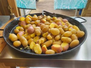  at Vegan Surf Camp in Moliets