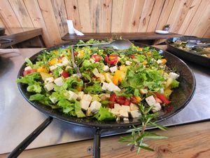  at Vegan Surf Camp in Moliets