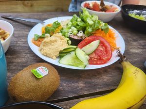  at Vegan Surf Camp in Moliets