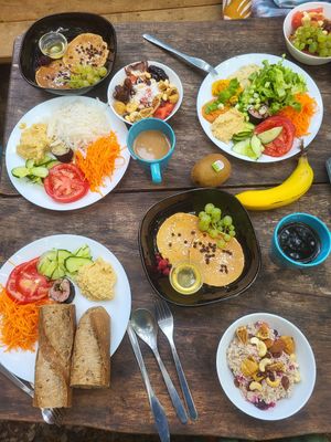  at Vegan Surf Camp in Moliets