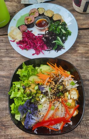  at Vegan Surf Camp in Moliets