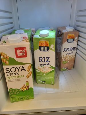  at Vegan Surf Camp in Moliets