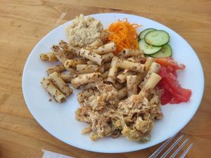  at Vegan Surf Camp in Moliets