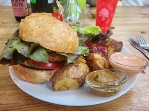  at Vegan Surf Camp in Moliets