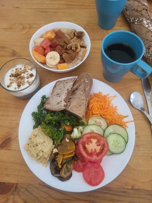  at Vegan Surf Camp in Moliets