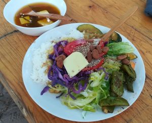 one example of buffet plate at Vegan Surf Camp in Moliets