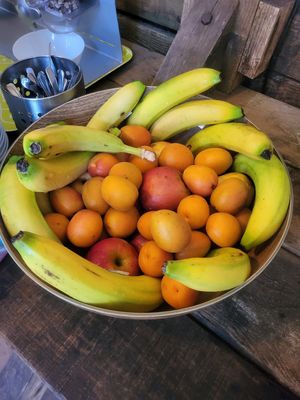  at Vegan Surf Camp in Moliets