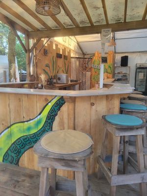  at Vegan Surf Camp in Moliets