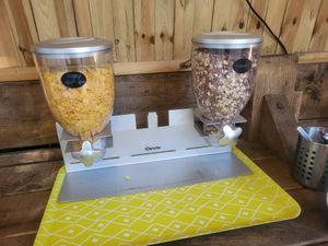  at Vegan Surf Camp in Moliets